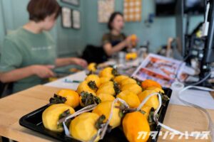 松山市　カタリナハウス　柿　干し柿　物作り　自然　季節　柿酢