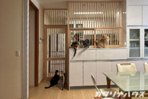 猫　脱走防止　格子戸　キッチン戸　進入防止　造作建具　職人の仕事　猫　多頭飼い