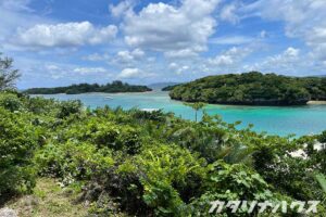 カタリナハウス　愛媛県　松山市　木　植物　アウトドア　お出かけ　環境