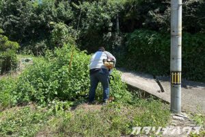 松山市　松山市リフォーム　松山市リノベーション　中古住宅　中古リノベーション　築50年　鉄骨造　古い家　古い物　草刈り