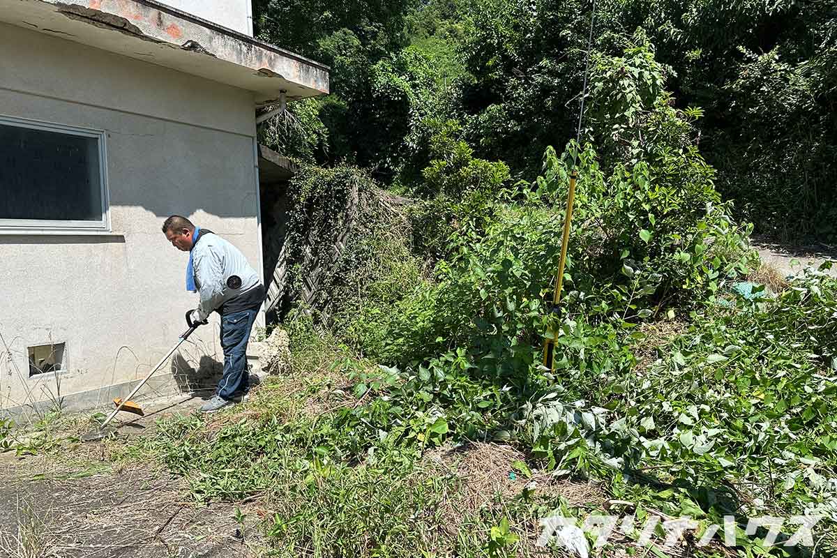 松山市　松山市リフォーム　松山市リノベーション　中古住宅　中古リノベーション　築50年　鉄骨造　古い家　古い物　草刈り