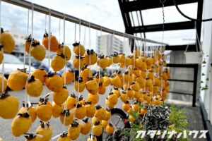 軒先にずらりと吊るされた皮むき済みの渋柿が秋の風物詩を演出