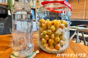 ガラス瓶に完熟梅と塩を交互に入れた仕込み中の梅干し。