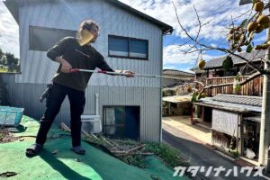高枝切ばさみで柿を切る男性。