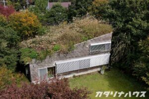屋根一面に草が広がる草屋根の住宅。自然に囲まれた木壁の家で、緑の屋根が周囲の森と美しく調和している様子