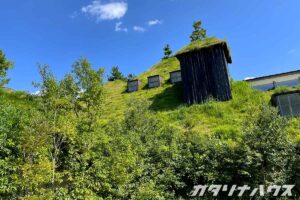 広大な草屋根が特徴的な三角屋根の建物。青空の下、緑に覆われた屋根と木製窓が印象的で、自然と一体化した外観。