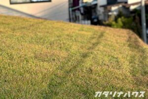 柔らかく広がる芝生を近距離で撮影した草屋根の様子。季節の色づきが見える自然な質感が伝わる写真。