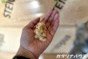 手の平に、綿のように細かい繊維となった木を乗せている。