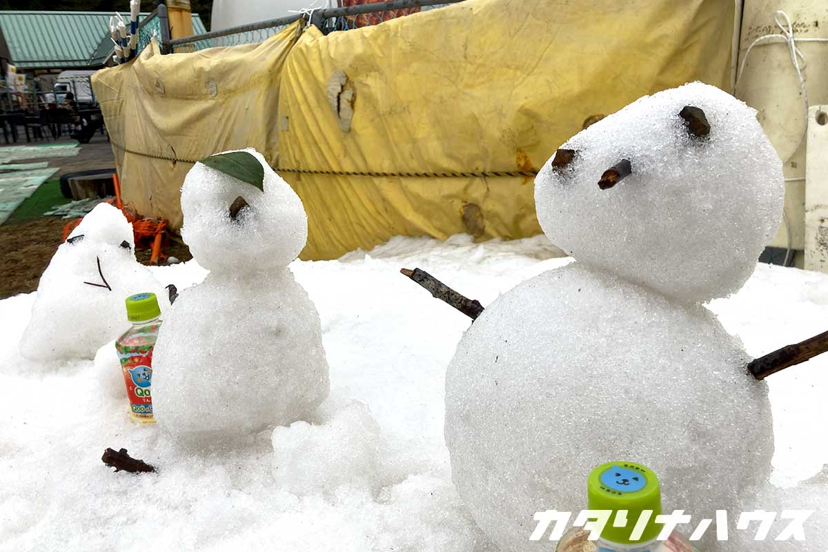 木の枝と葉っぱでデコレーションされた雪だるま