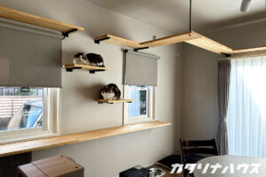 多頭飼いの猫が安心して過ごせるキャットウォークと壁付けステップのあるLDK