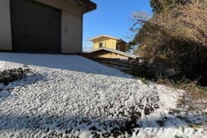 リノベーションされた杉板張りの家と、雪が積もった道路