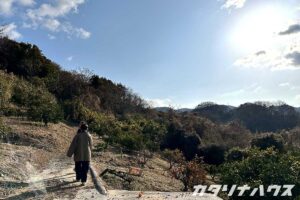 松山市福角町に移転した事務所の裏山はみかん山