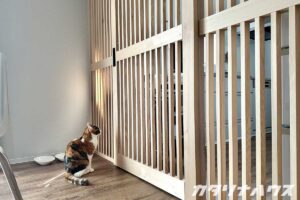 松山市　猫と暮らす　リノベーション　台所　進入対策　格子戸