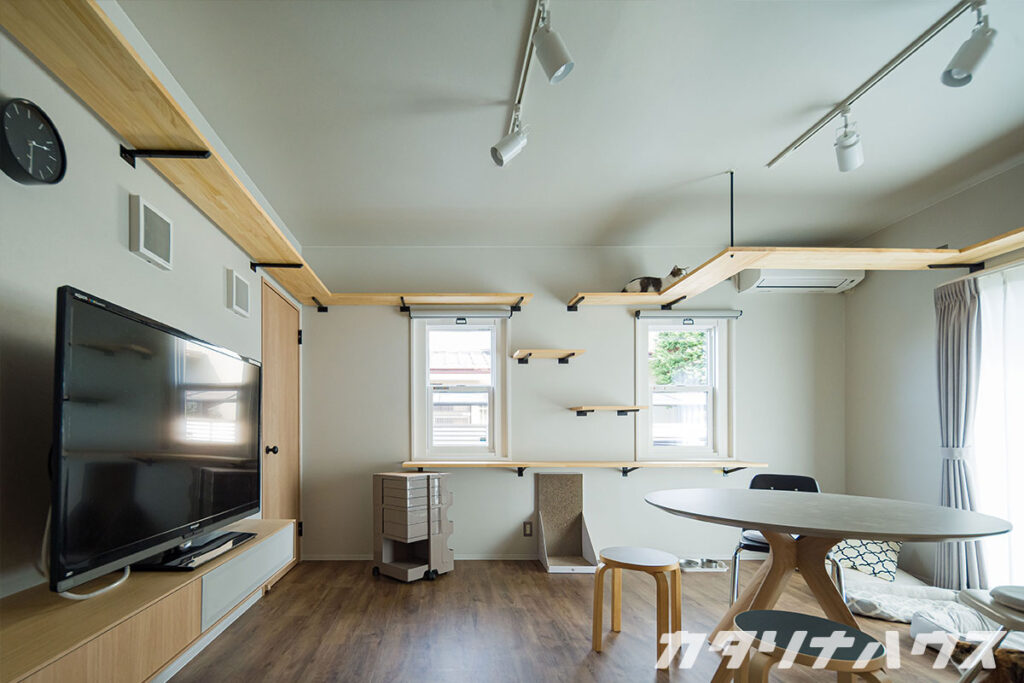 松山市 自宅 リノベーション 猫多頭飼い