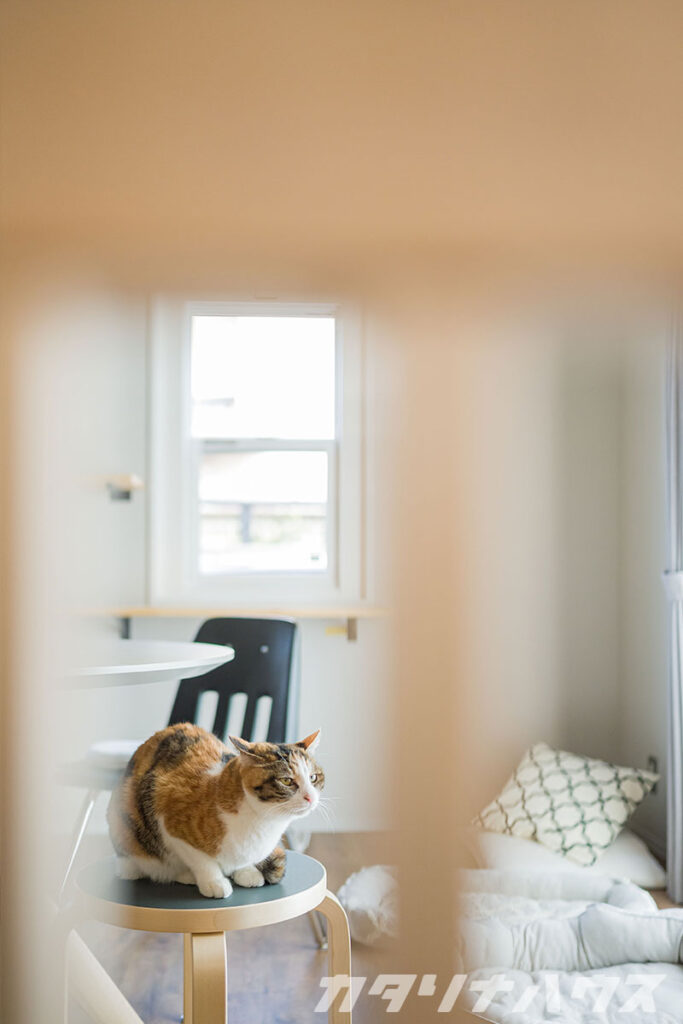 猫リノベ リビング キッチン 進入対策