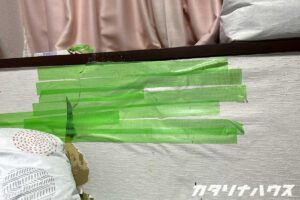 夏の内部結露により石膏ボードに空いた穴
