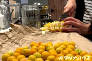梅干しにする完熟小梅とシロップにするレモンの仕込み中