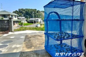 梅干しが似合う松山市福角町