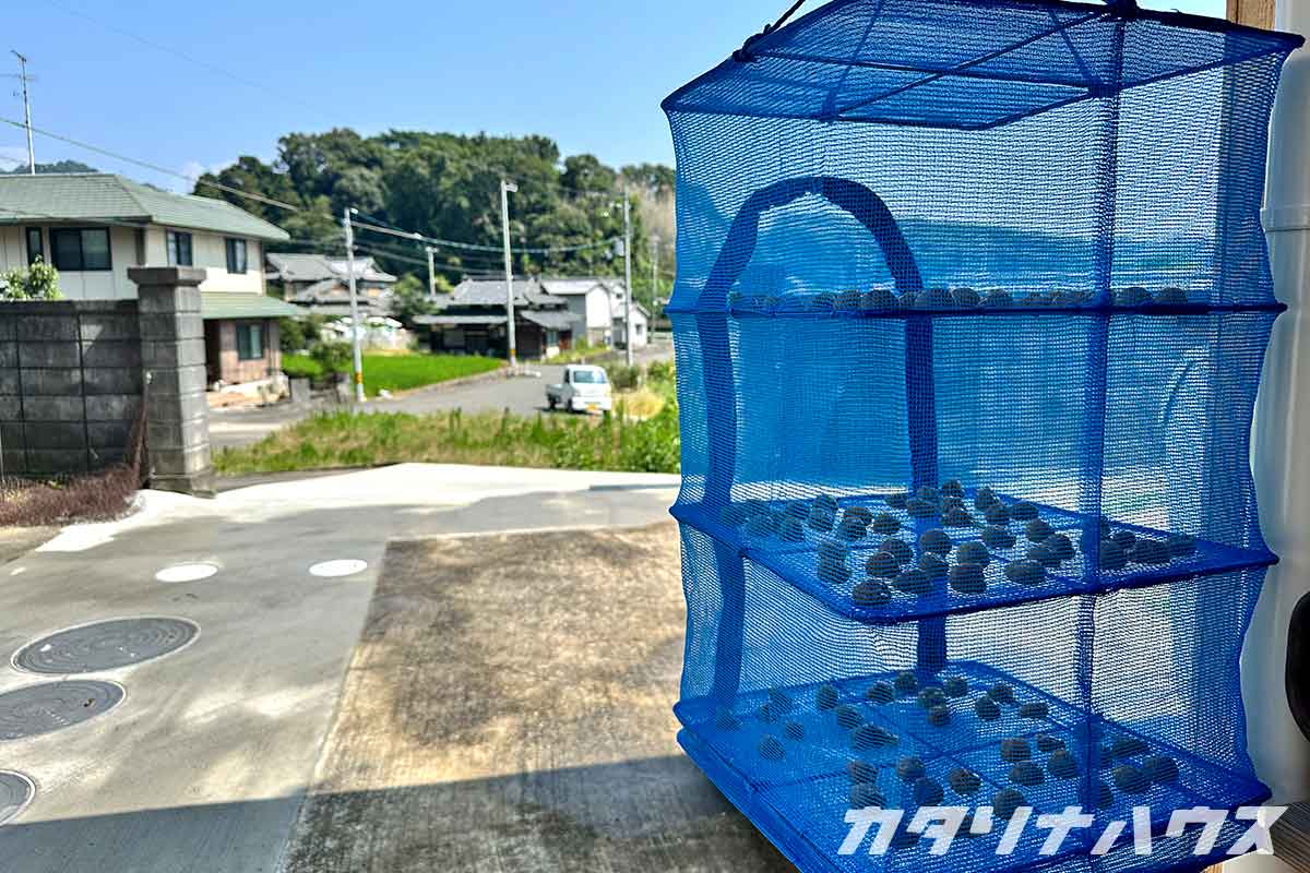 梅干しが似合う松山市福角町