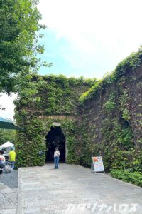 倉敷美観地区にあるアイビースクエア。蔦が這い雰囲気のある工場。